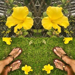 Meet your Posher, Joyce